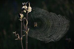 Webデザインの学習方法で初心者が知っておくべきポイントは？