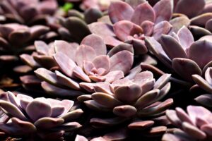 スマホの画面割れを修理する際の注意点は？