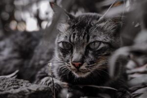 冬の国内旅行で行くべきおすすめスポットは？