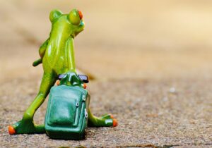 冬の旅行におすすめの国内スポットは？