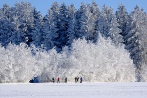 冬の旅行に行くならおすすめの行き先はどこ？