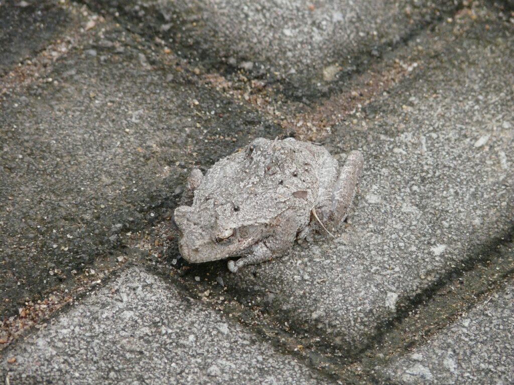 適応障害の診断をセルフチェックする方法は？