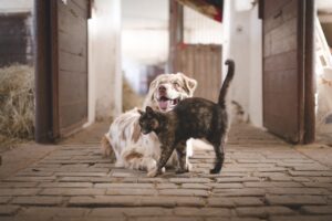 離婚後の生活を安定させるために必要なステップは？