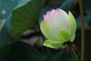 離婚後の収入を安定させる方法は？