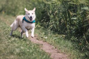 離婚後の人生を見直すためのポイントは？