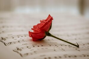 離婚後の生活設計を成功させるためのポイントは？