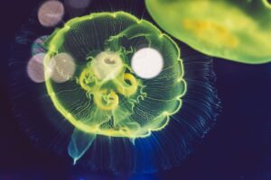 シングルファーザーの生活を豊かにするためのヒントは？