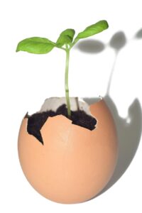 離婚後に新しい人生を始めるための方法は？
